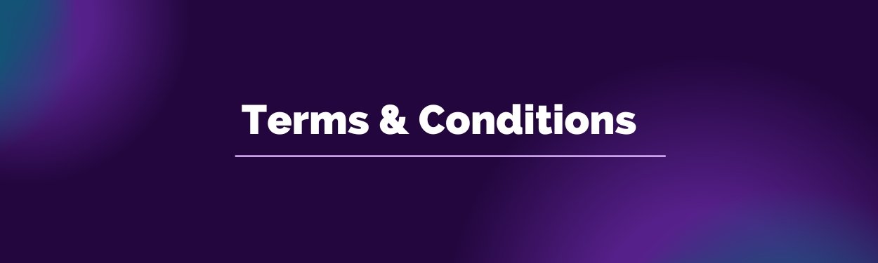 Terms and Conditions page of Enlightrs outlining website usage, services, and legal policies